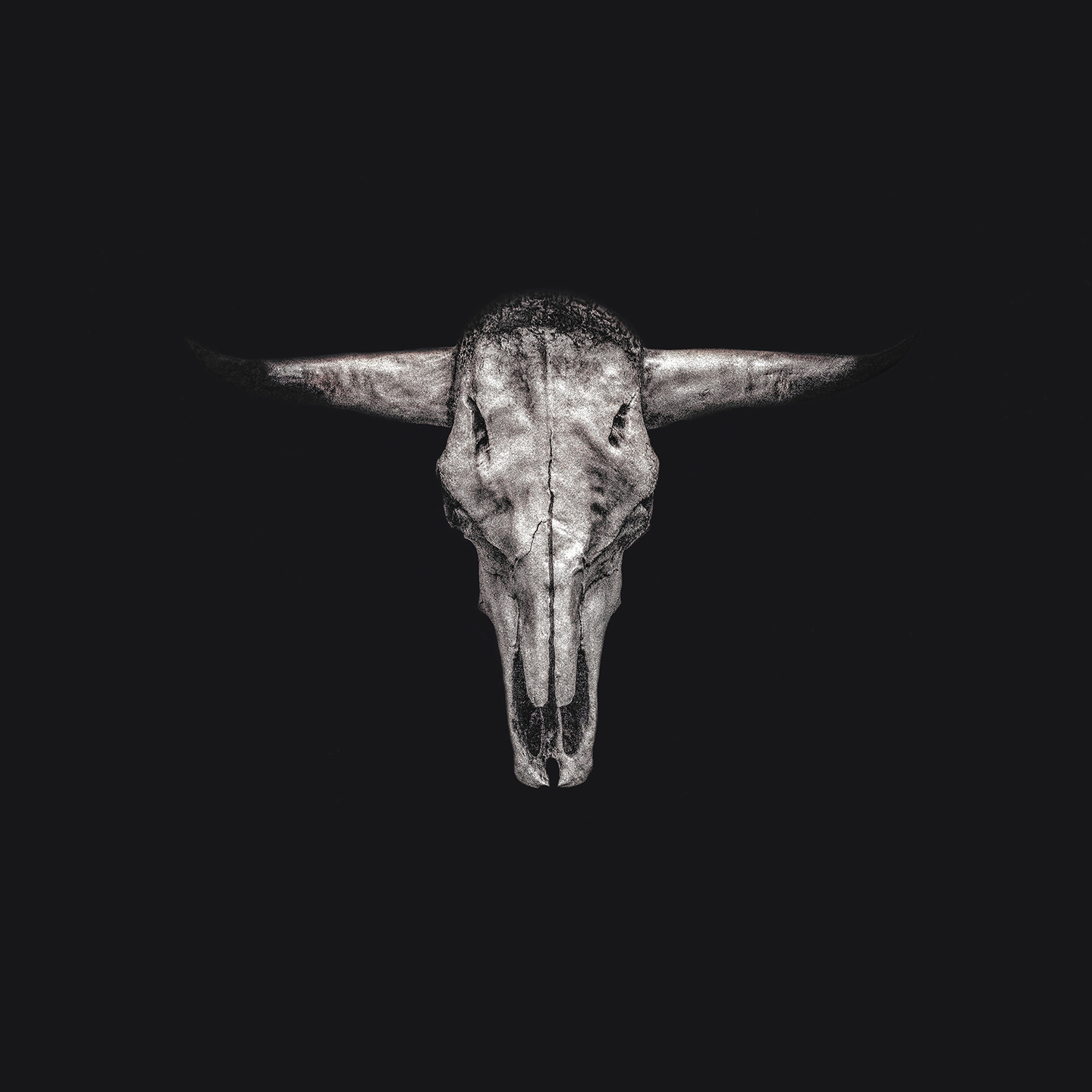 Longhorn