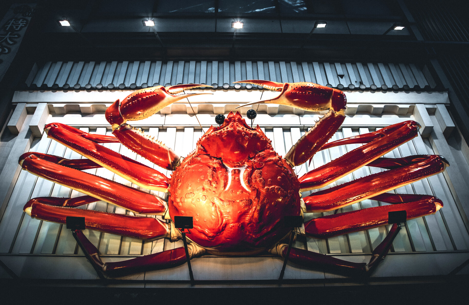 18 - Crab