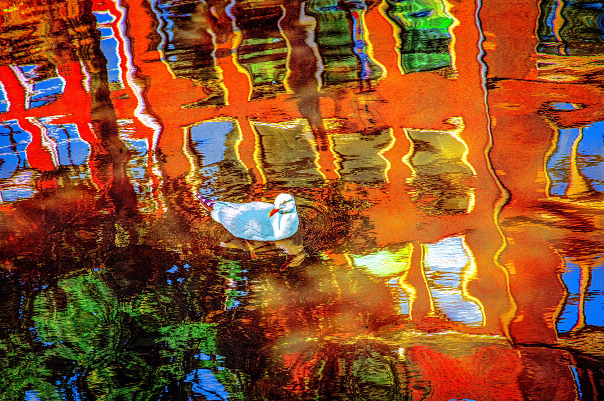 27 - Picnic in Amsterdam