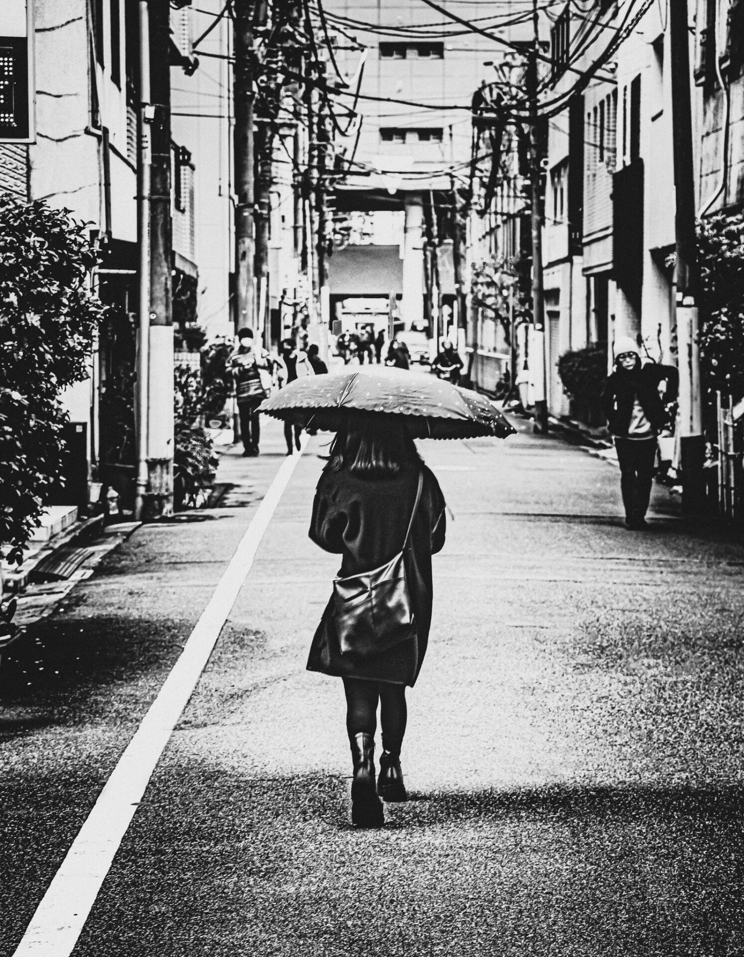 50 - Black Umbrella