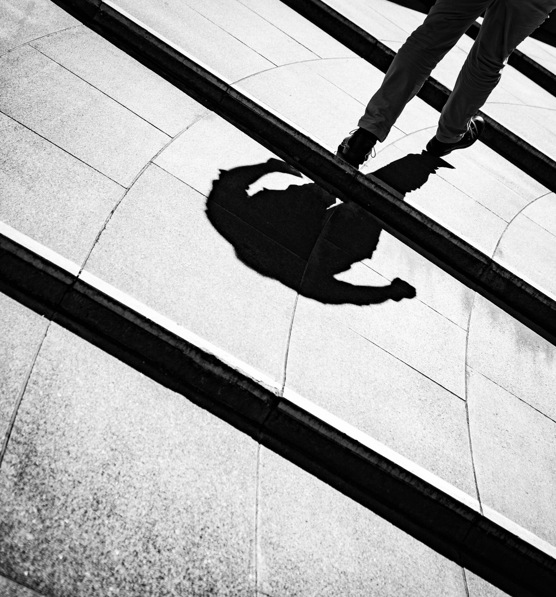 47 - Shadow